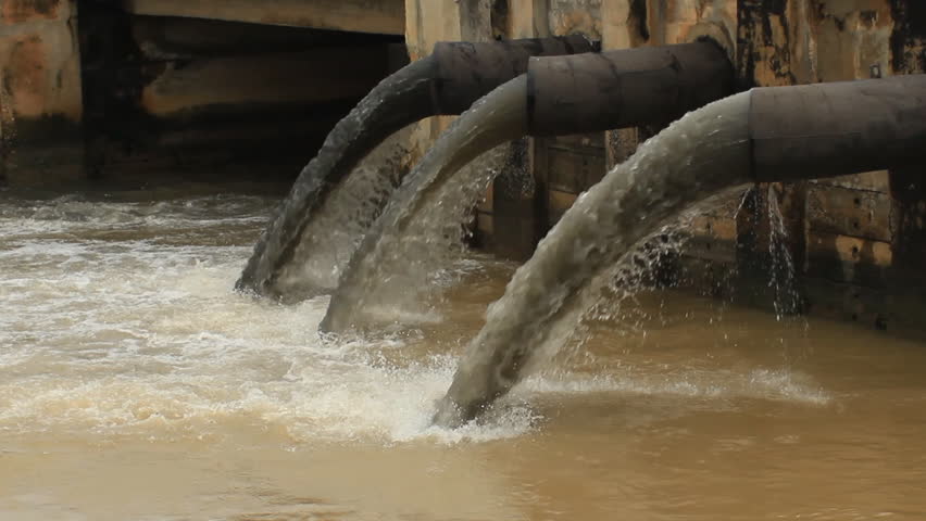 You Can't Clean a Lake That's Fed by a Polluted River - C-VINE Network