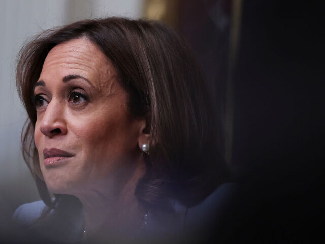 The Curse Of Kamala: Vice President Harris’s Desperate Winless Streak ...